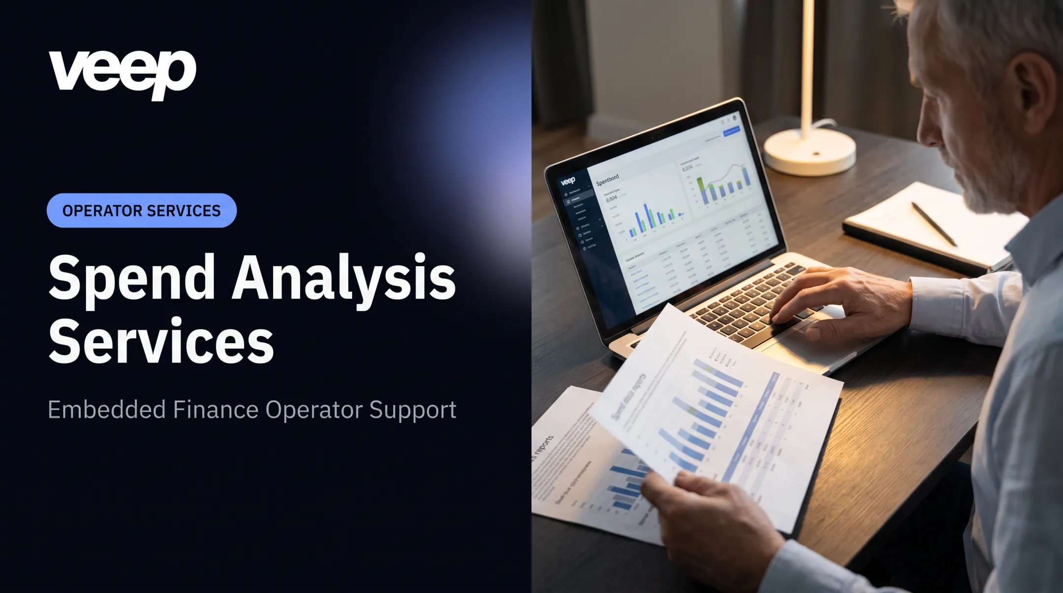 Spend Analysis Services