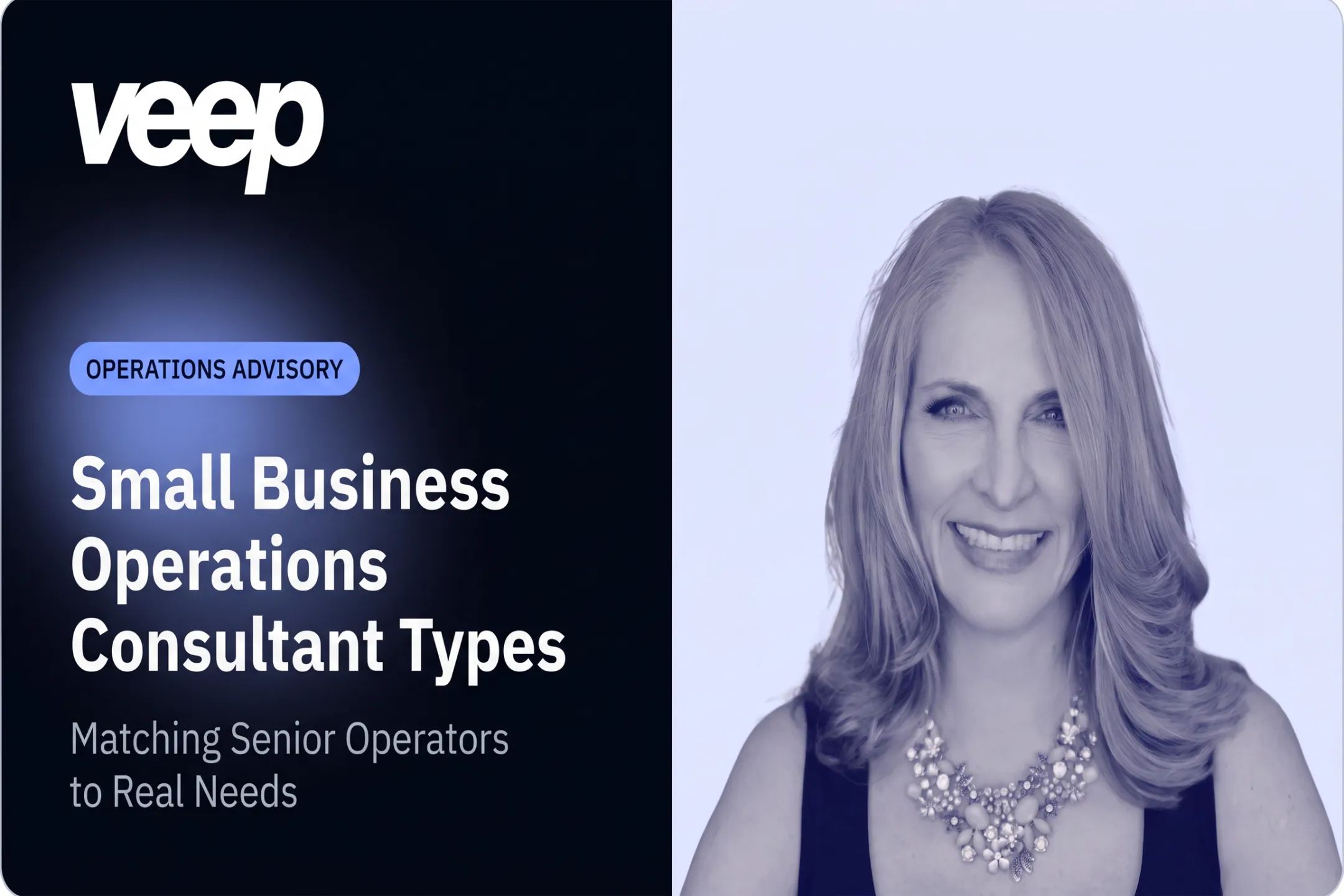 Small Business Operations Consultant Types