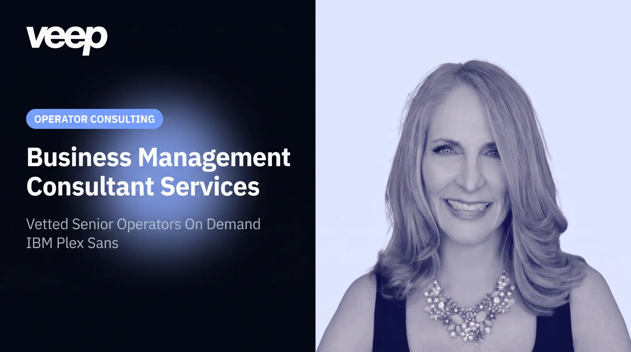 Business Management Consultant Services