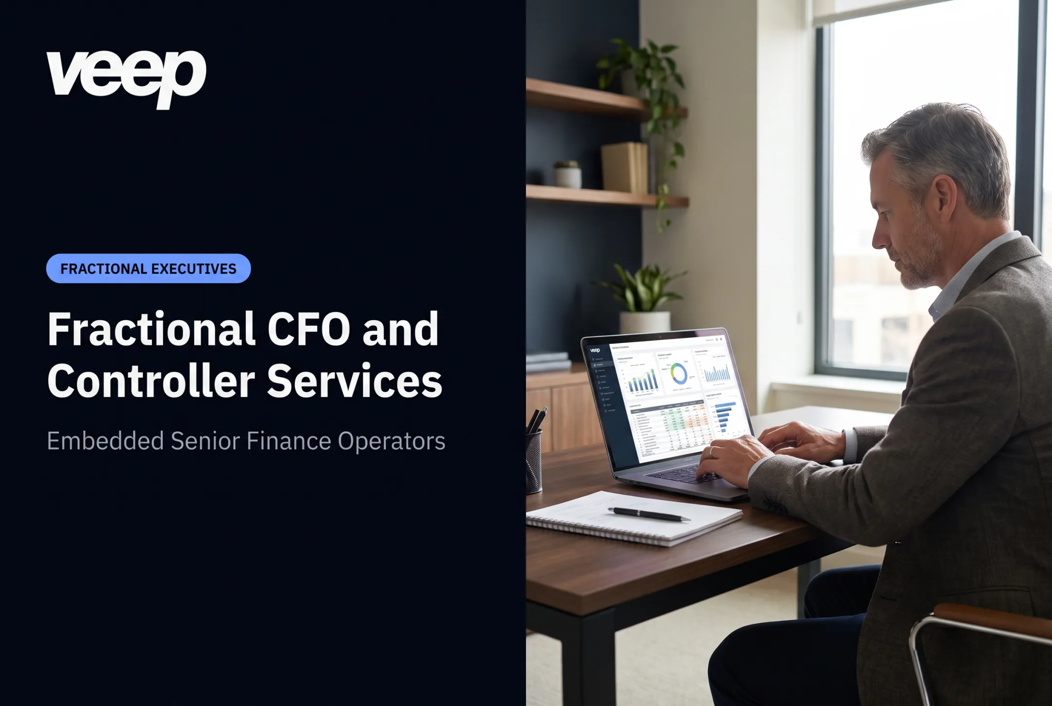 Fractional CFO and Controller Services