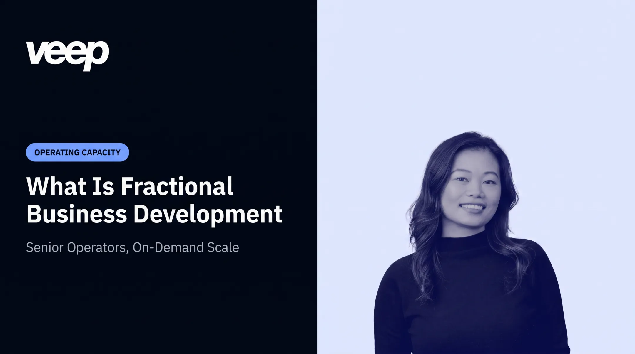 What Is Fractional Business Development