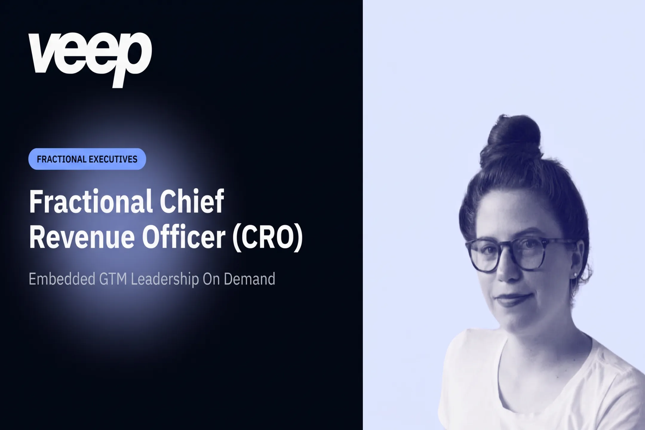Fractional Chief Revenue Officer (CRO)