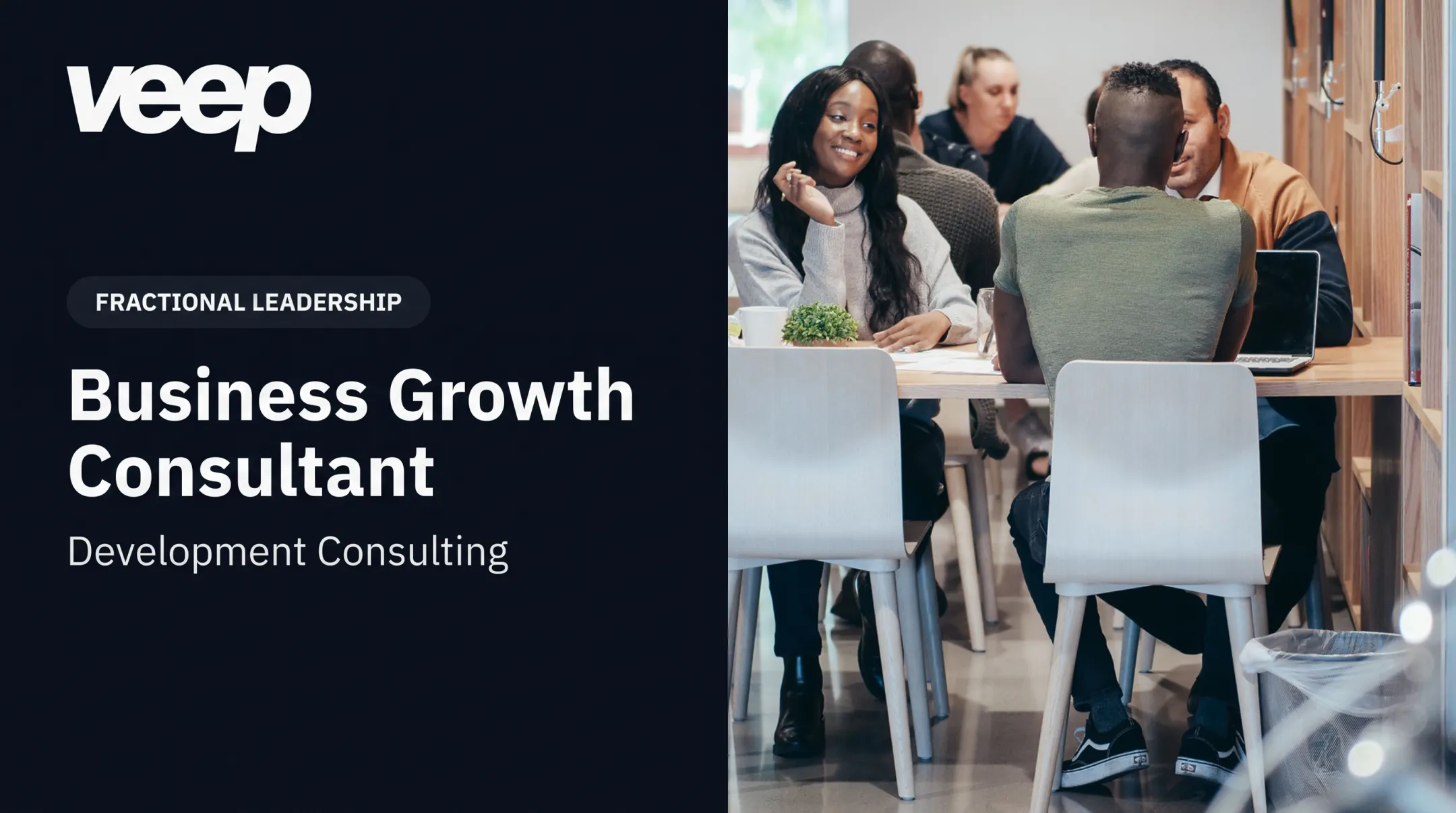Business Growth Consultant: Development Consulting