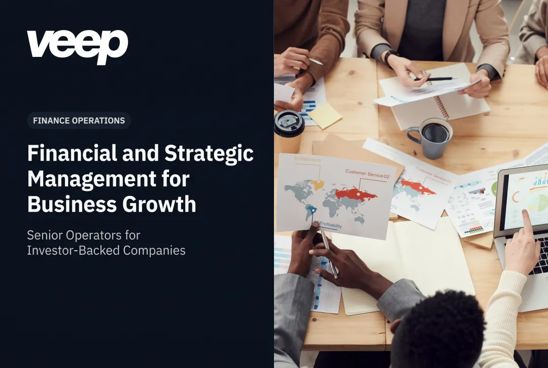 Financial and Strategic Management for Business Growth