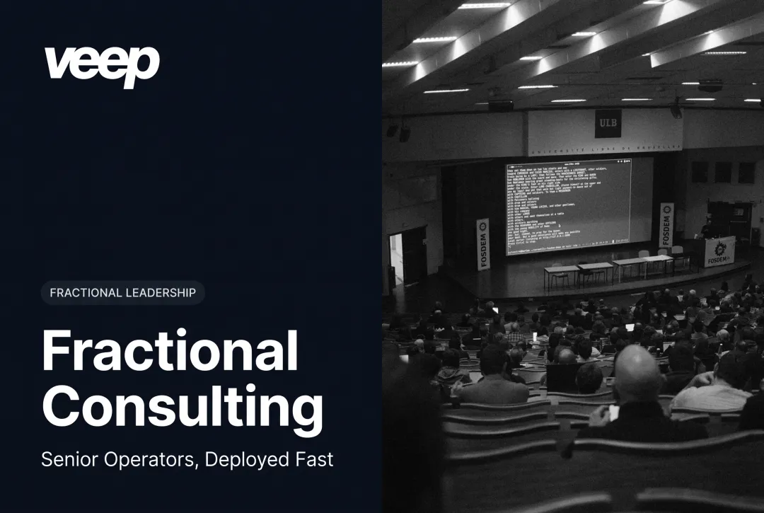 Fractional Consulting