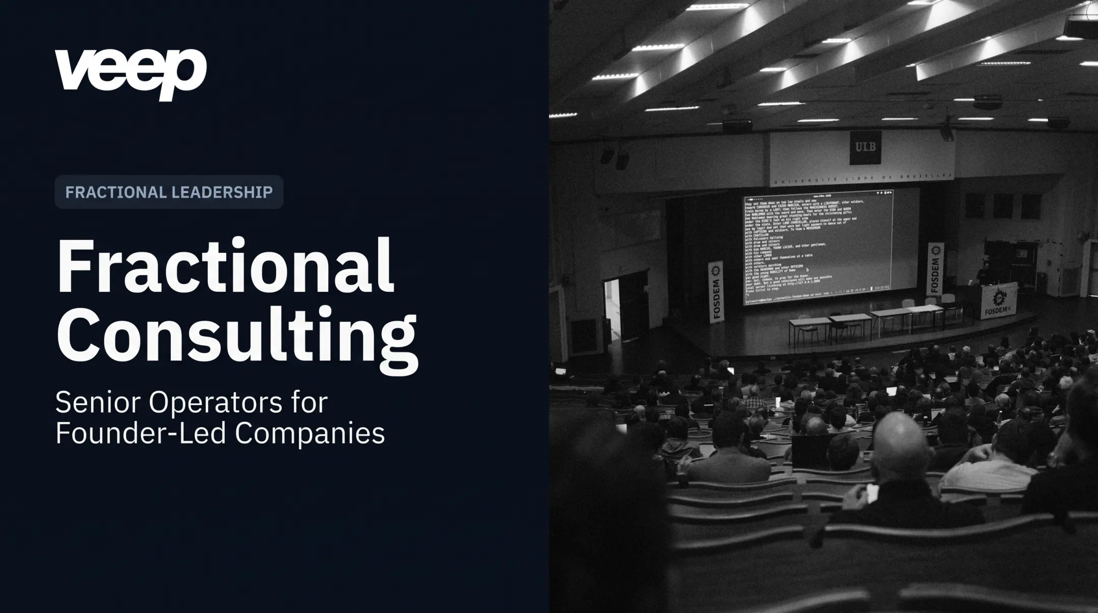 Fractional Consulting