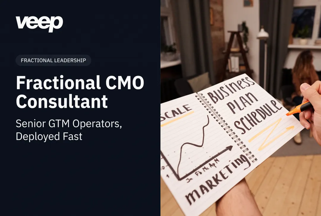Fractional CMO Consultant