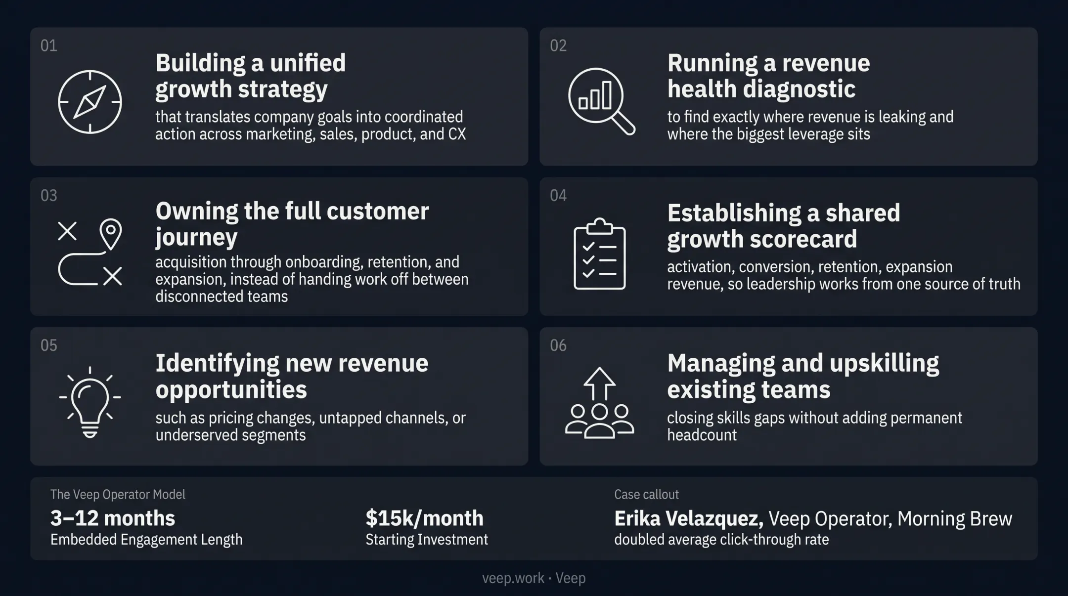 Fractional CGO core responsibilities across growth strategy and execution