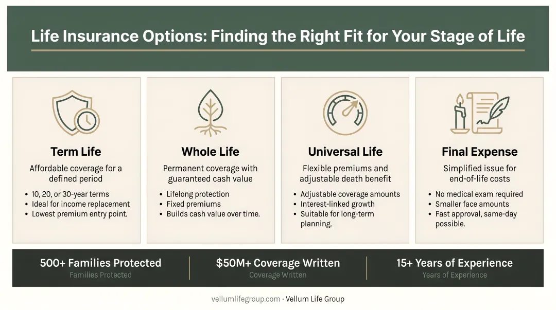 Young professional reviewing individual life insurance policy options on laptop at home