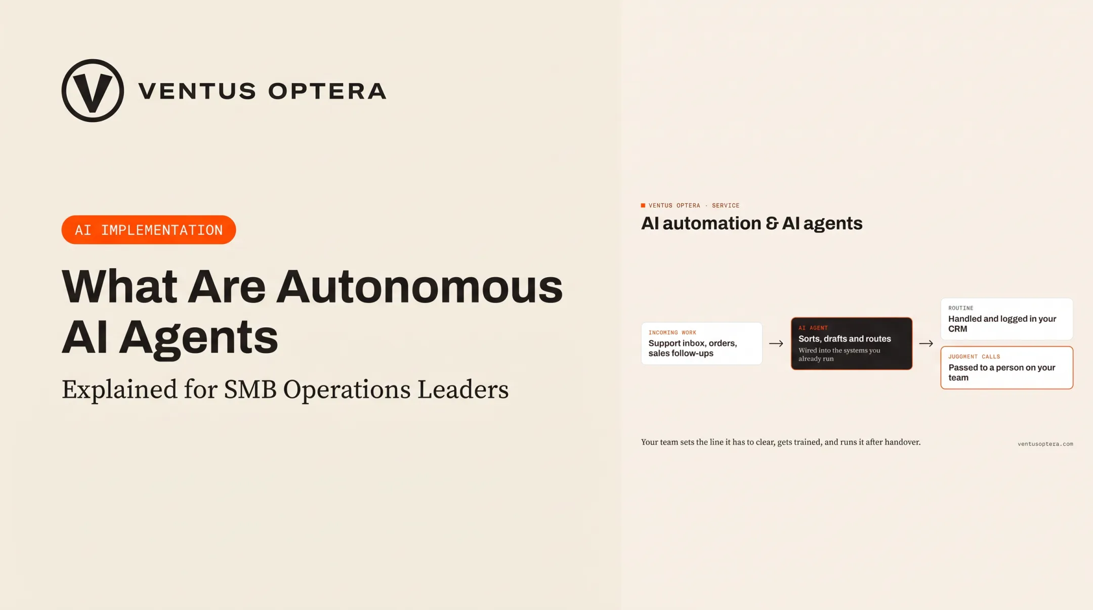 What Are Autonomous AI Agents