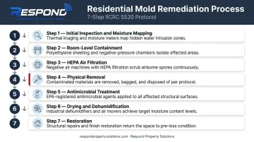 7-step residential mold remediation process flow from inspection to restoration