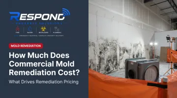 How Much Does Commercial Mold Remediation Cost?