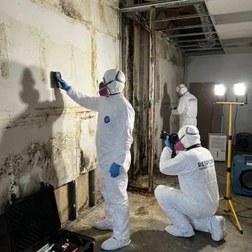 Commercial Mold Remediation Services in Huntington Beach