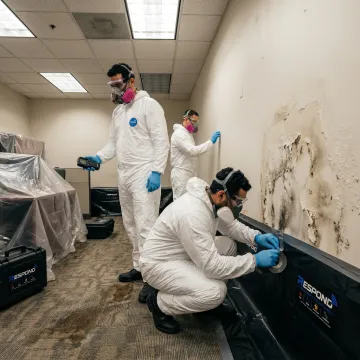 Commercial Mold Remediation Services in Pasadena