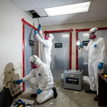 Commercial Mold Remediation Services in North Hollywood