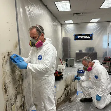 Commercial Mold Remediation Services in Glendale