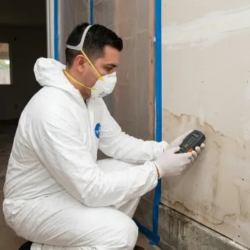 Technician inspecting mold and moisture damage