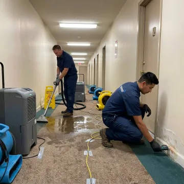 Water mitigation crew working in apartment hallway