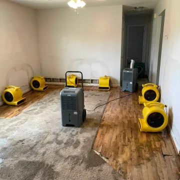 Structural Drying Services in San Diego — 24/7