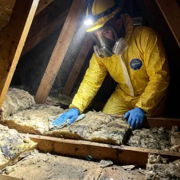 Technician inspecting and cleaning an attic