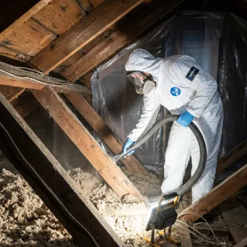 Attic Cleaning & Decontamination Services