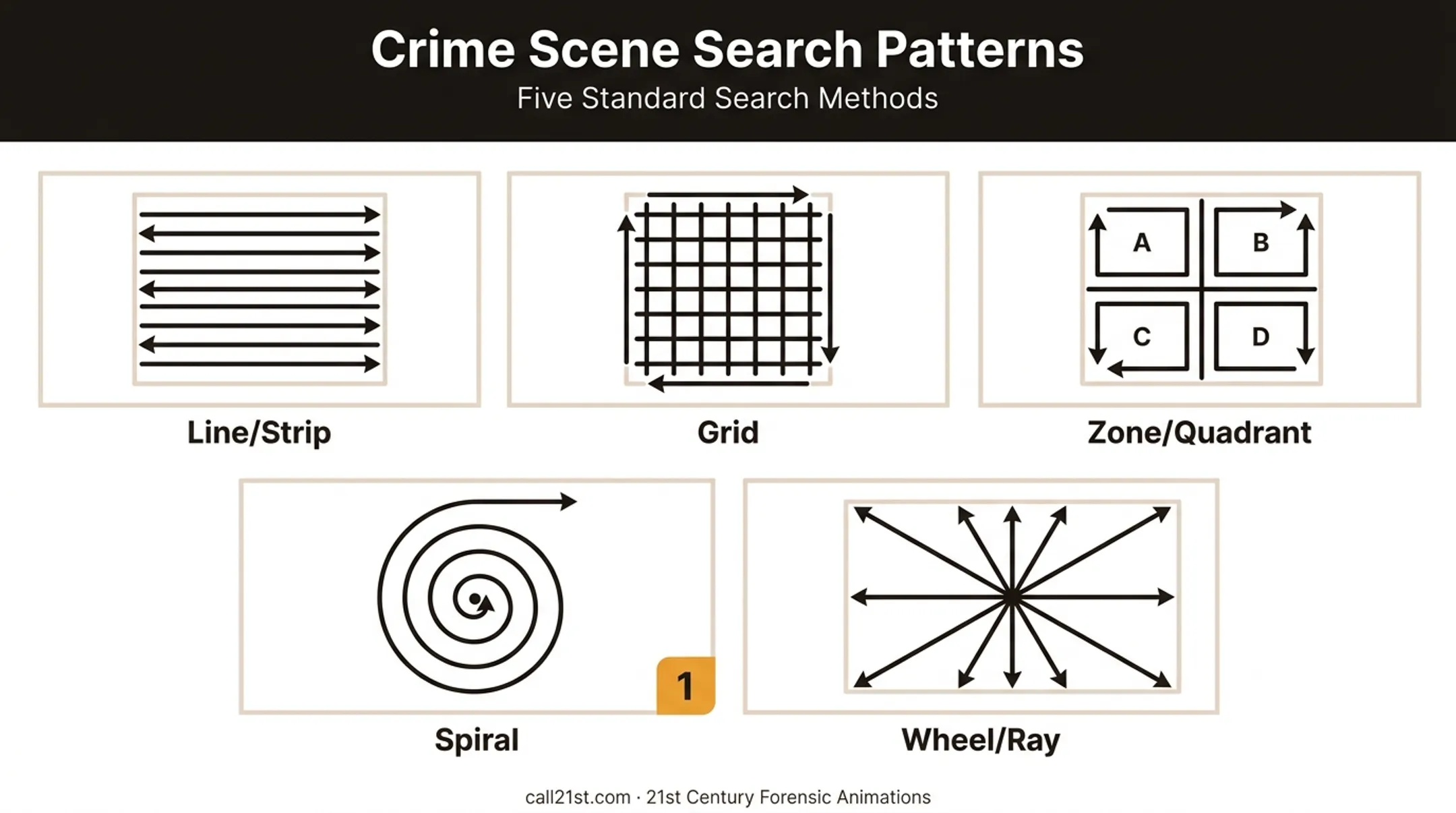 Five crime scene search methods pattern diagram line grid spiral