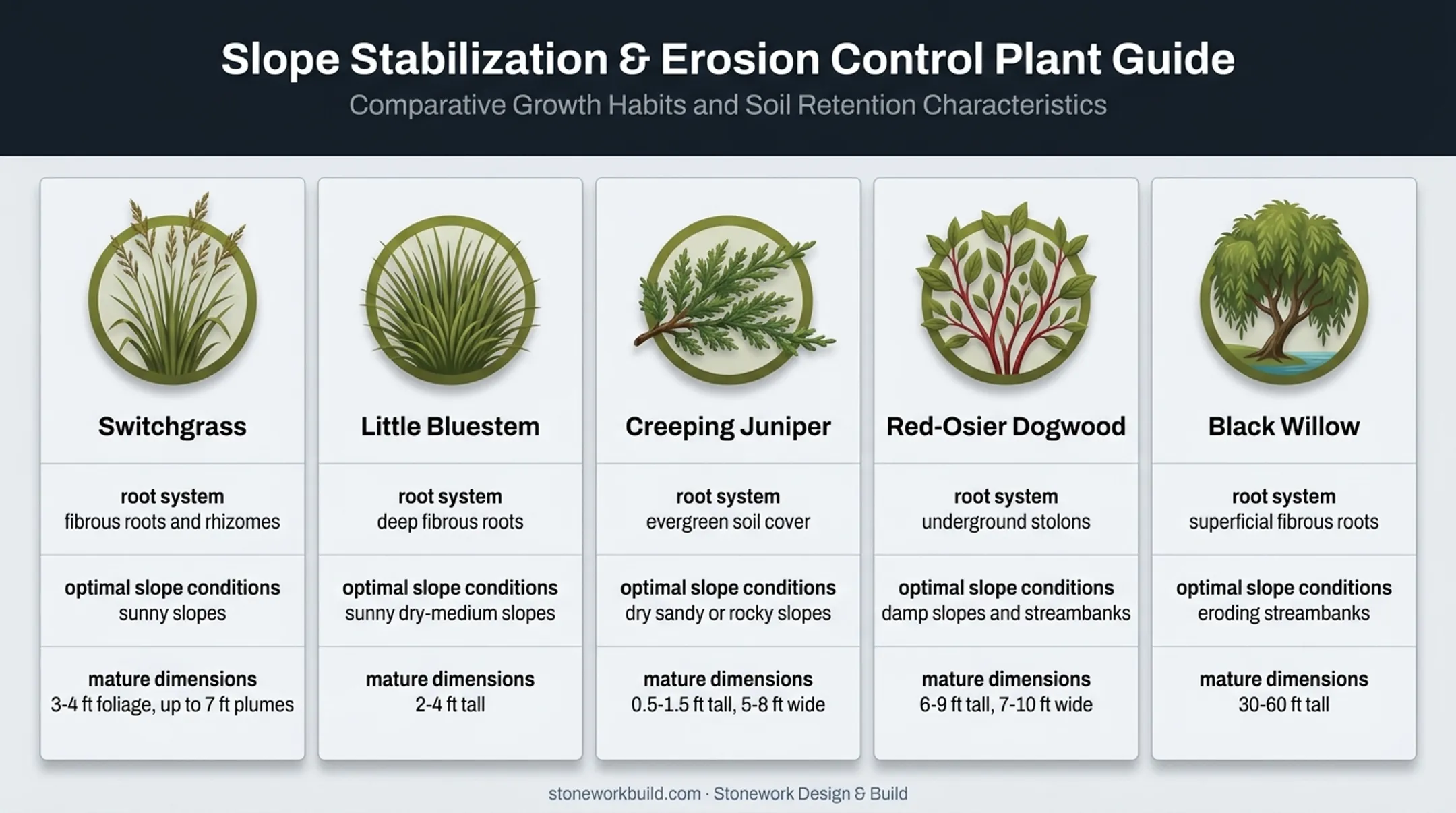 Five erosion-control plants compared by roots site fit and mature size