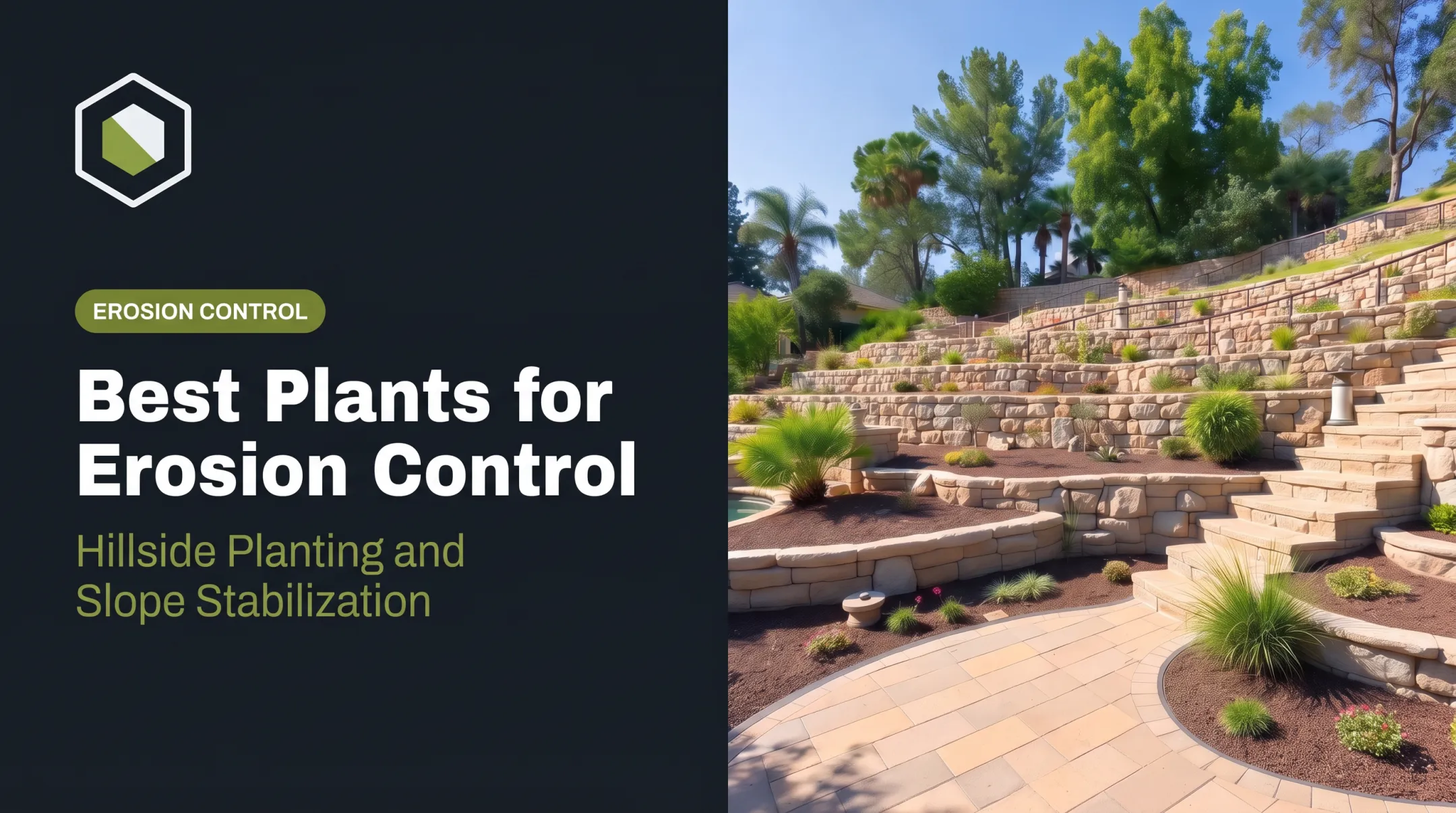 Best Plants for Erosion Control