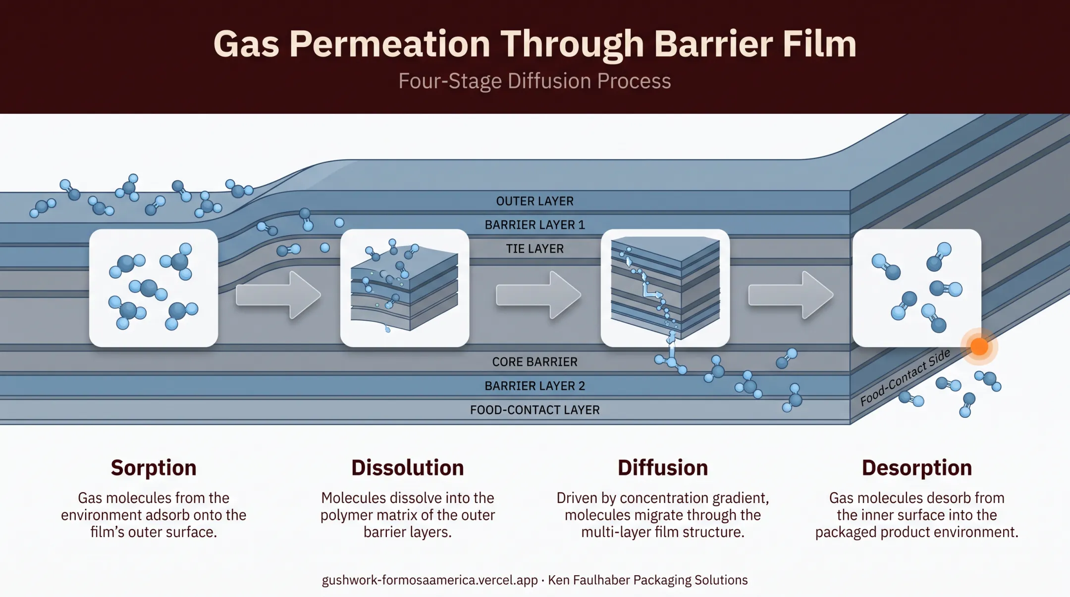 Four-step gas permeation process through food packaging barrier film