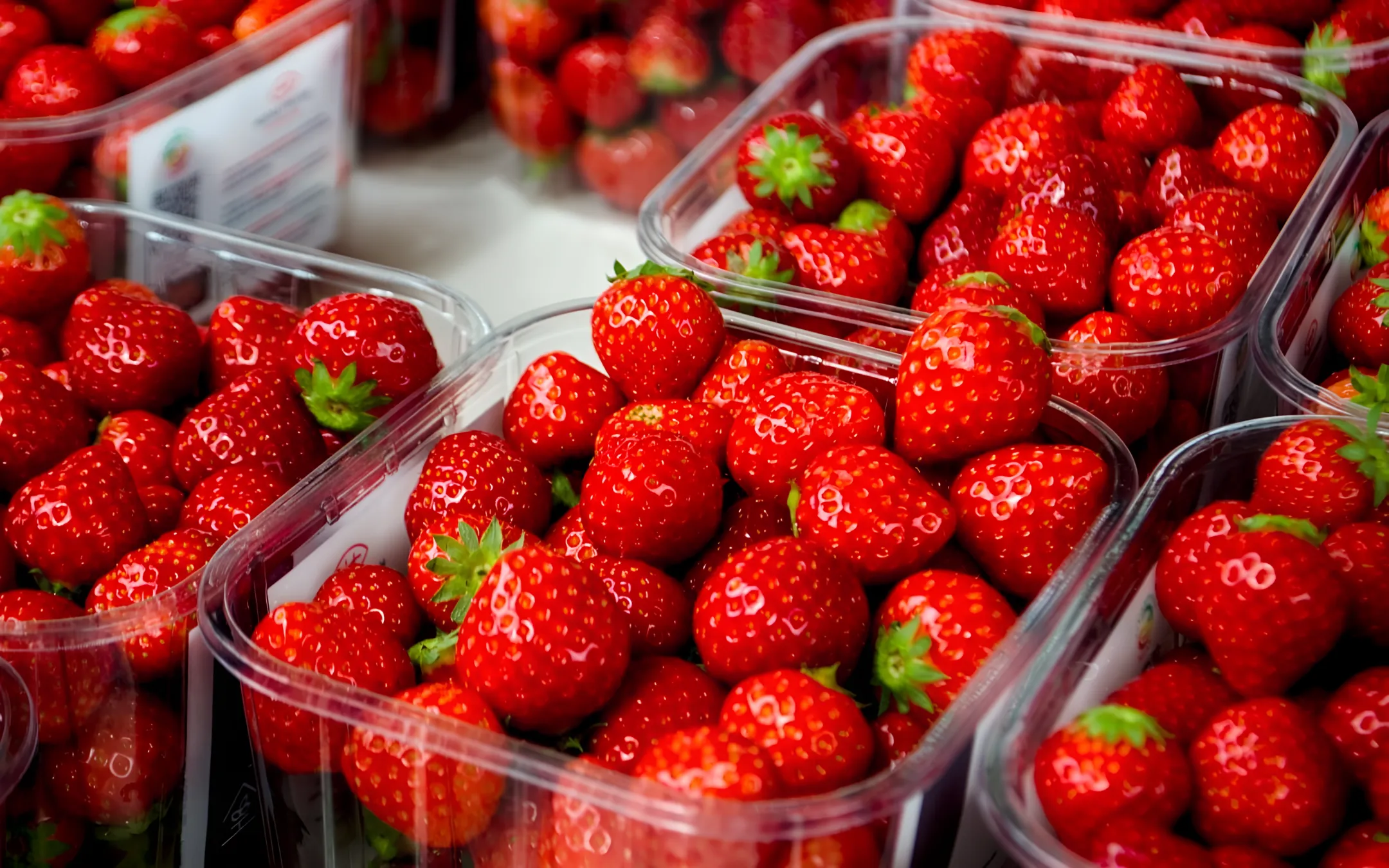 Clamshell Packaging