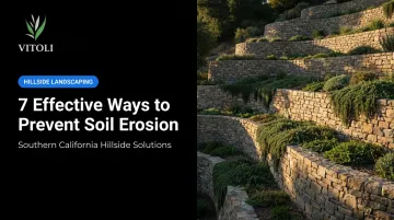7 Effective Ways to Prevent Soil Erosion