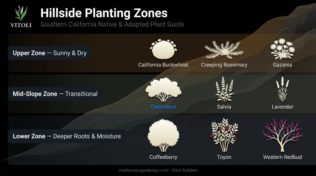 Southern California hillside plant zones guide upper mid and lower slope species