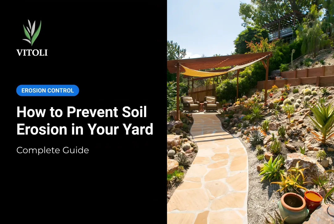 How to Prevent Soil Erosion in Your Yard: Complete Guide