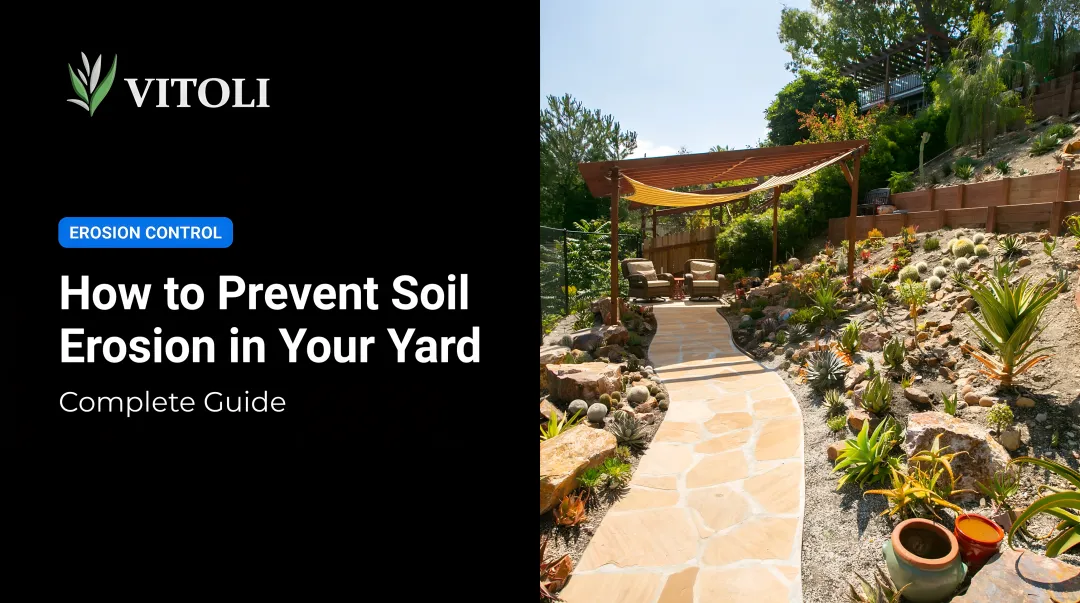 How to Prevent Soil Erosion in Your Yard: Complete Guide