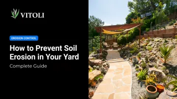 How to Prevent Soil Erosion in Your Yard: Complete Guide