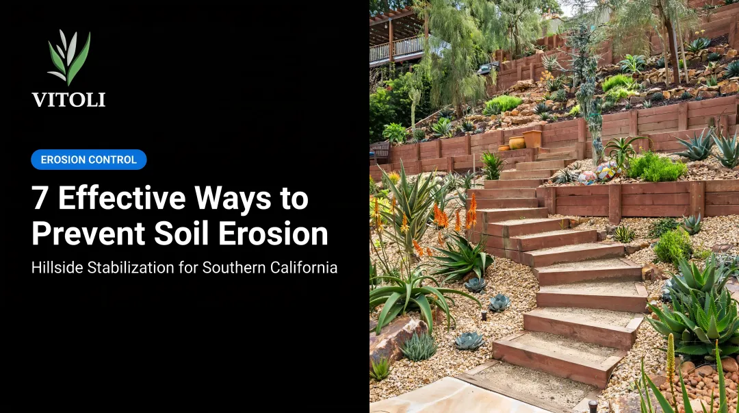 7 Effective Ways to Prevent Soil Erosion