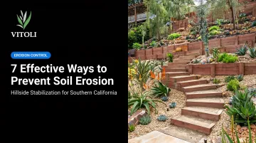 7 Effective Ways to Prevent Soil Erosion