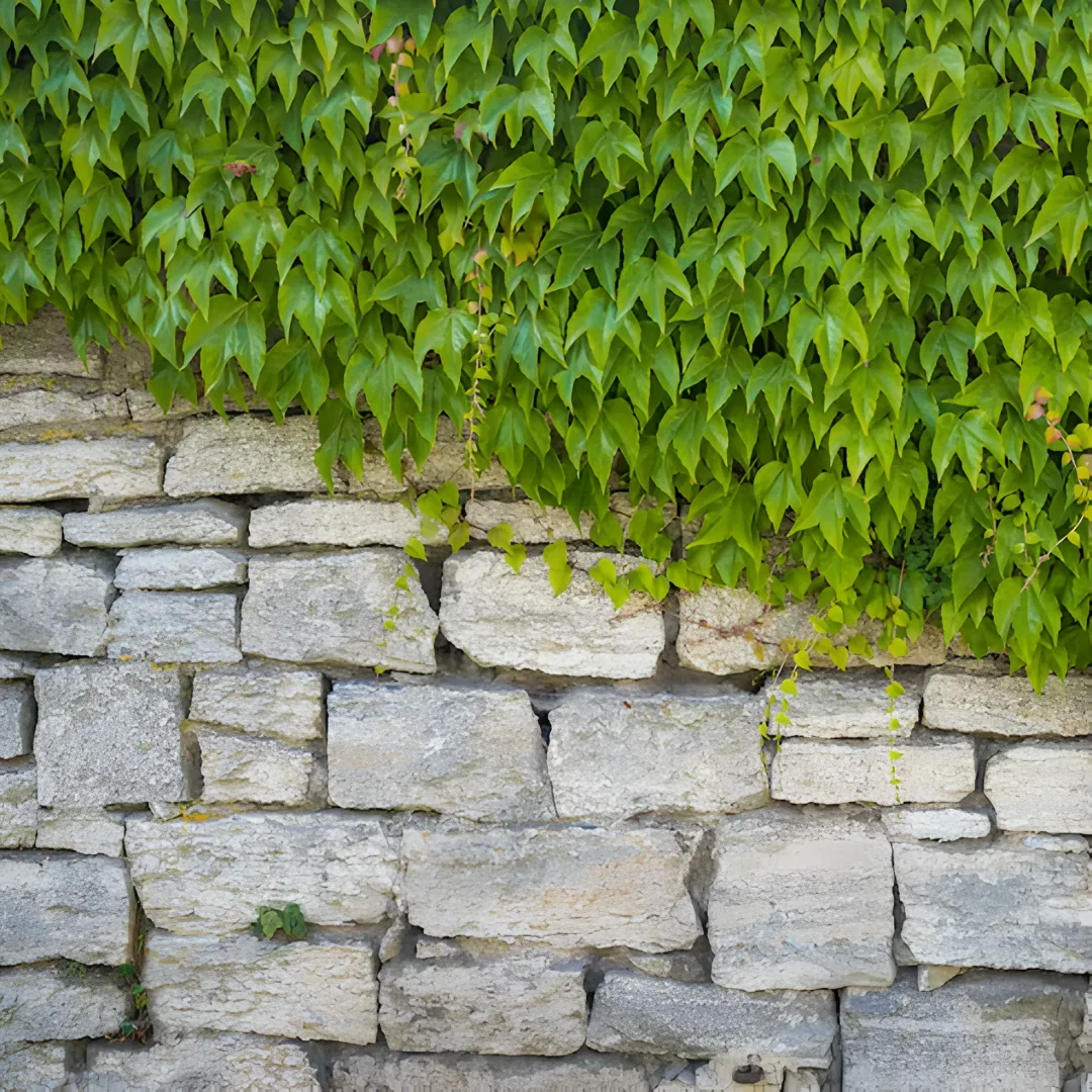 Engineered retaining wall supporting a hillside outdoor space