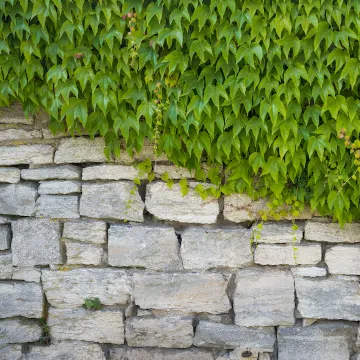 Concrete Retaining Wall Contractors — Professional Services