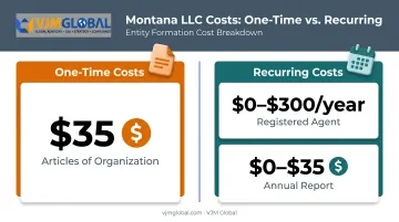 Montana LLC one-time versus recurring costs breakdown chart