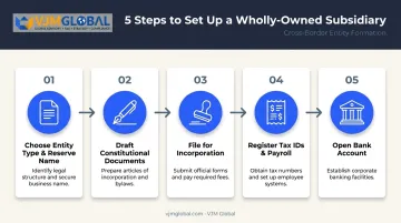 5-step wholly-owned subsidiary formation process flow chart