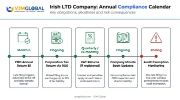 Irish LTD annual compliance calendar showing five key filing deadlines and obligations