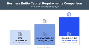 Cameroon business entity minimum capital requirements comparison chart