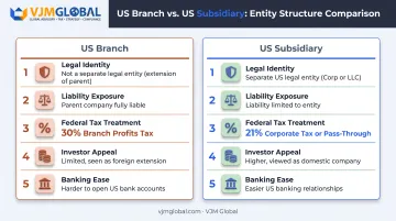 US branch office versus subsidiary comparison chart for UAE companies