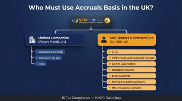 UK businesses required to use accruals basis mandatory categories breakdown chart