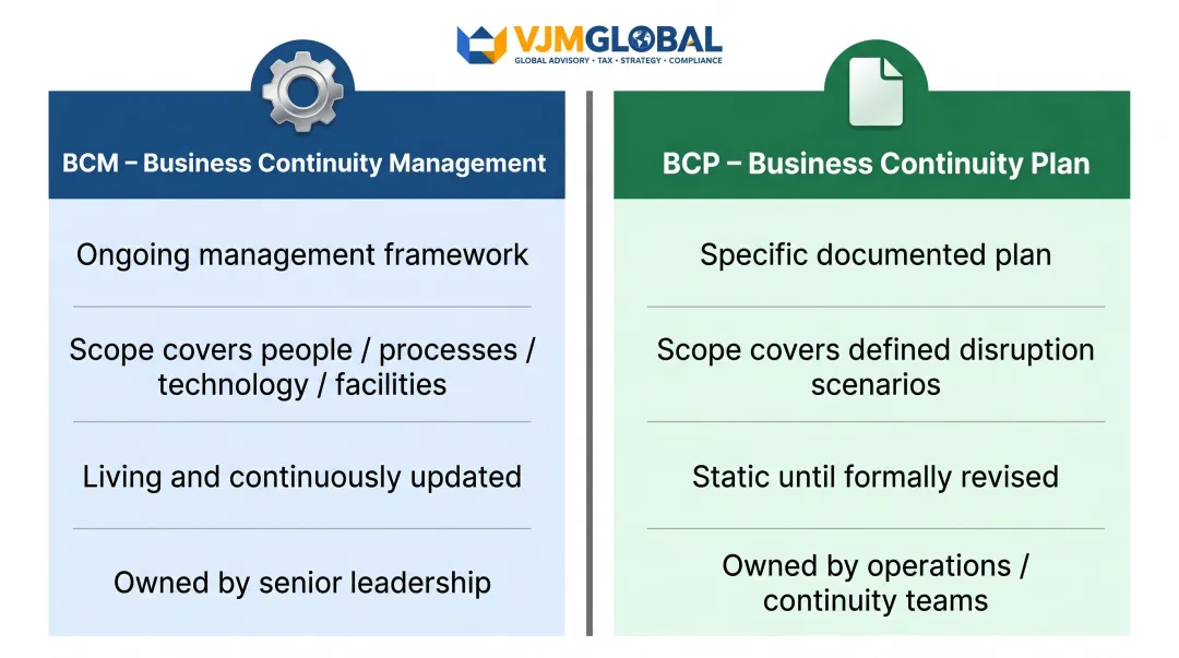 BCM versus BCP side-by-side comparison infographic showing key differences