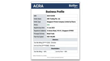 ACRA Bizfile business profile extract showing Singapore company registration details