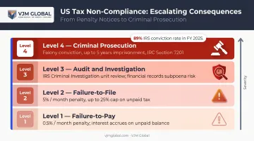 US tax non-compliance penalty types rates and criminal consequences breakdown infographic
