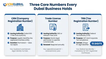 Dubai CRN Trade License and TRN three core business identifiers comparison infographic
