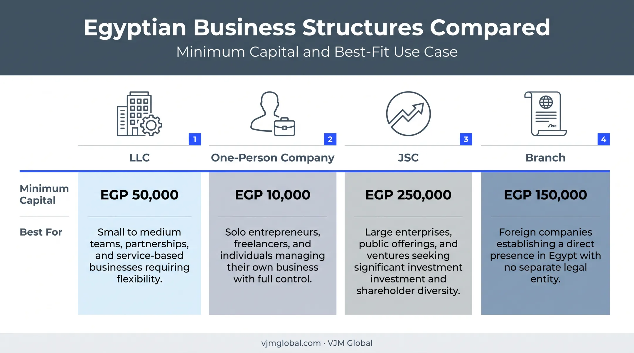 Egypt business entity comparison chart LLC OPC JSC branch structures